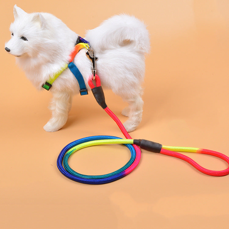 Colorful Nylon Dog Rope