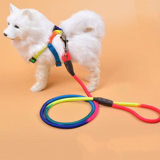 Colorful Nylon Dog Rope