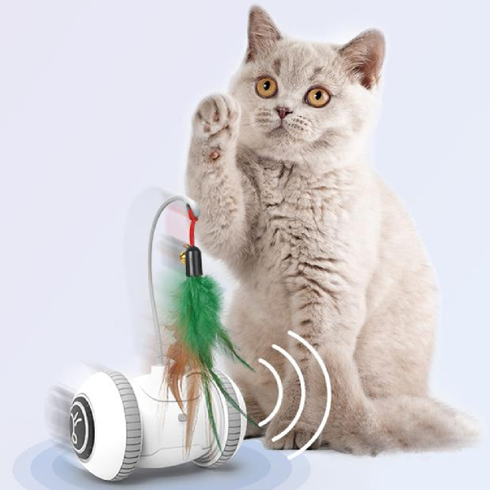 Interactive Cat Feather Toys